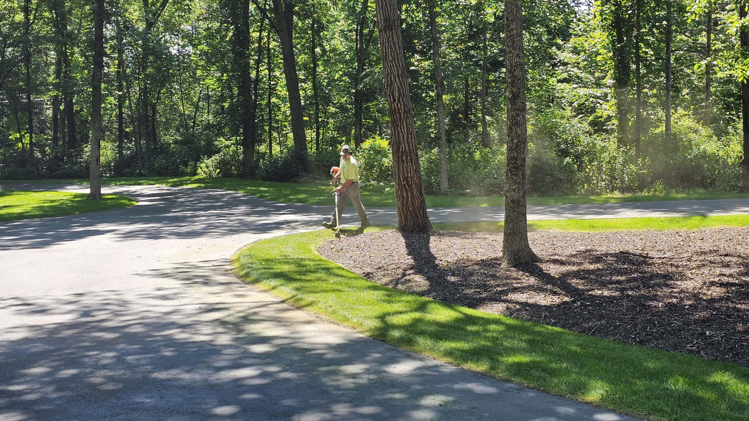 What we look for carrres page pic